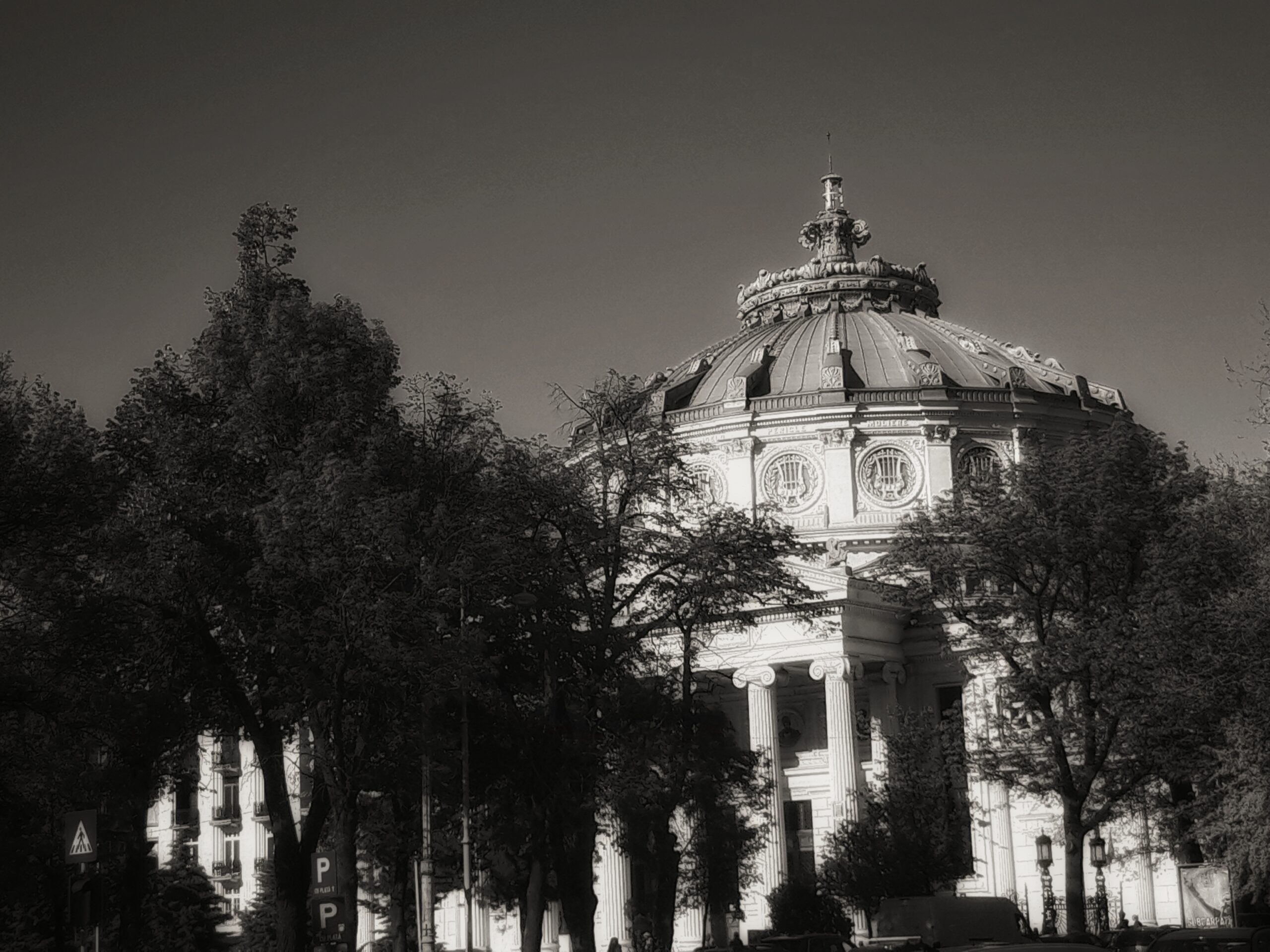 20240409_170248(1)-01